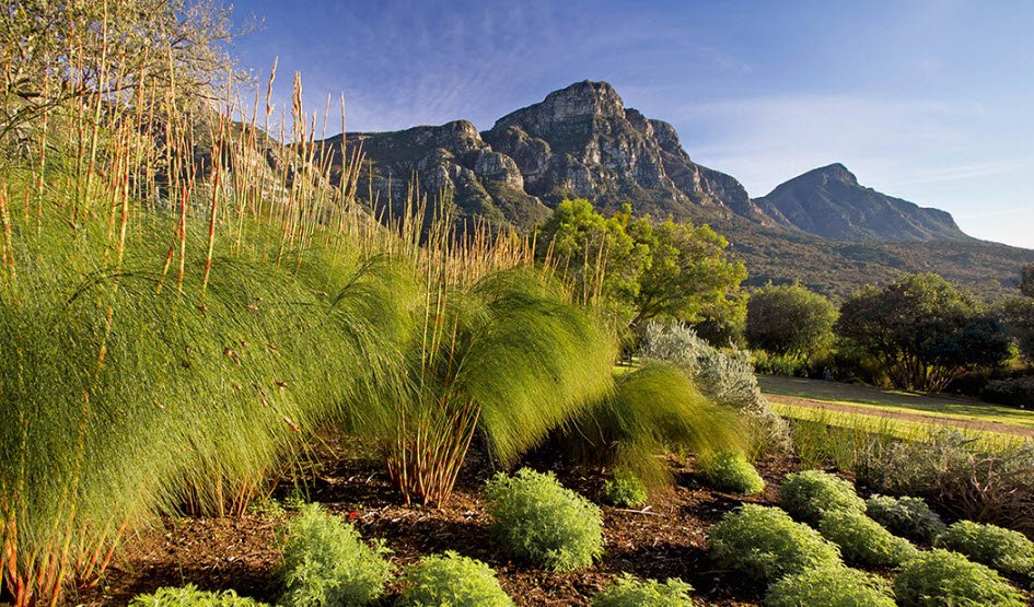 Thohoyandou Botanical Garden, South Africa